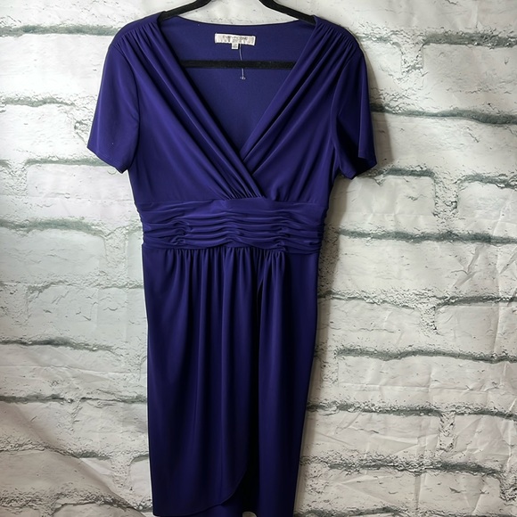 Evan Picone Purple Dress. Size 12P NWOT - Picture 3 of 7